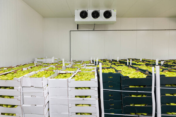 Peppers Cold Warehouse