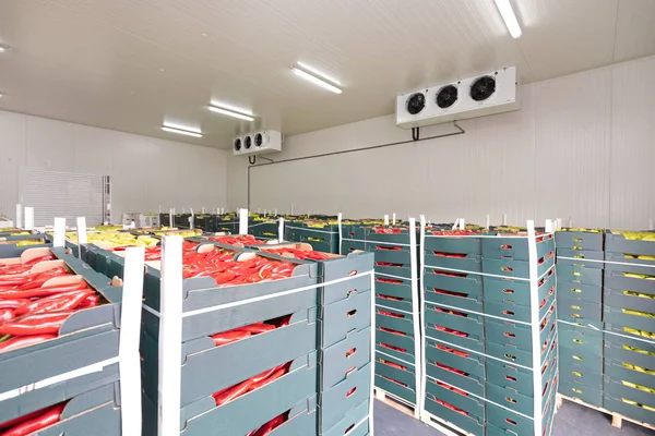 Red Peppers Cold Storage — Stock Photo, Image