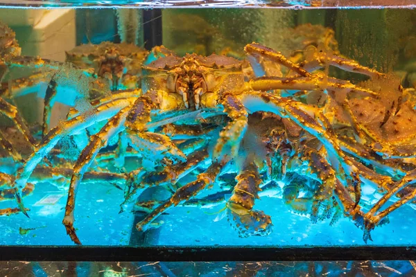 Krabben Wassertank — Stockfoto