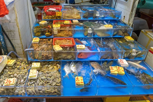 鲜活海鲜鱼缸 — 图库照片