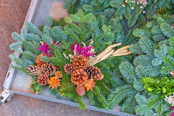 Evergreen Pinecones dekoracja — Zdjęcie stockowe