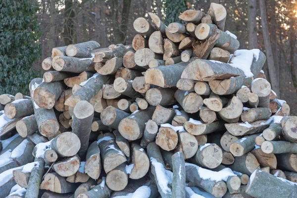 Firewood Logs — Stock Photo, Image