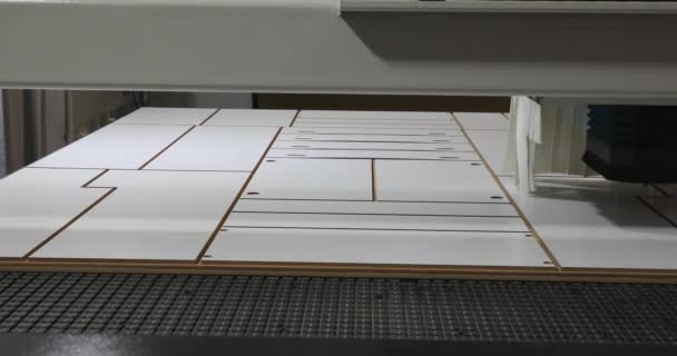 Cnc Wood Panel Skärmaskiner Fabriksproduktion — Stockvideo