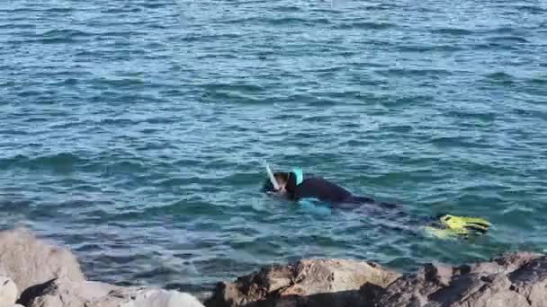 Ψυχαγωγία Snorkeling Man Κατά Μήκος Της Ακτής Της Αδριατικής Θάλασσας — Αρχείο Βίντεο