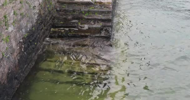 コモ湖の水イタリアへの古い石の階段 — ストック動画