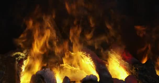 Efectos Fuego Chimenea Con Troncos Madera Humo — Vídeo de stock