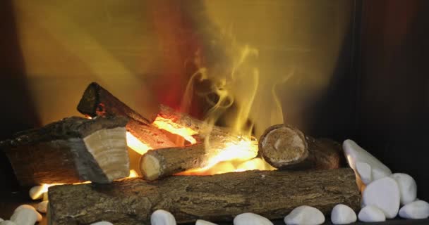 Heater Ceramic Wood Logs Fireplace — стоковое видео