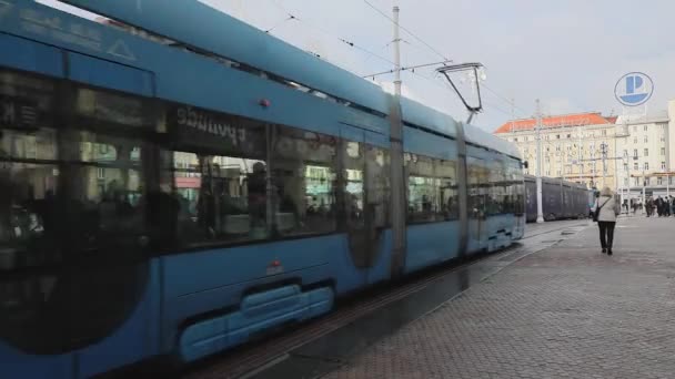 Zagreb Croatia November 2019 Long Blue Trams Public Transport Ban — ストック動画