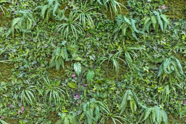 Artificial Wall Foliage