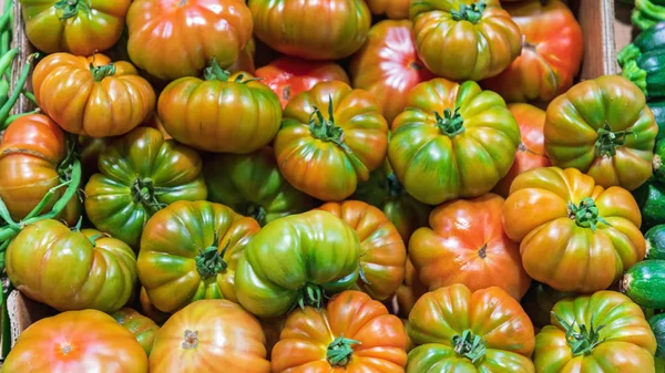 Grüne Tomate — Stockfoto