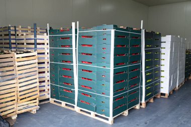 Depolama Deposundaki Paletlerde Ürün Sandıkları