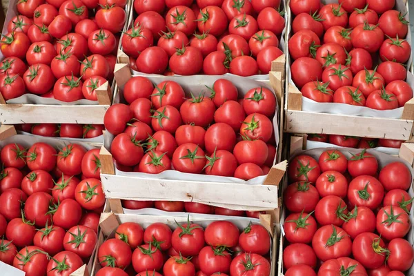 Crates Red Tomato Warehouse Storage — Stock Photo, Image