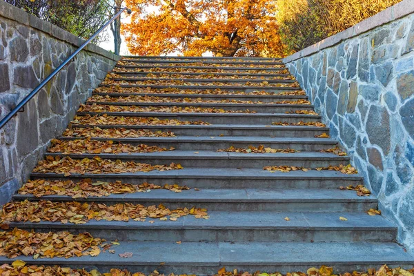 Лестница Покрытая Осенью Опавшей Листвы Норвегии — стоковое фото