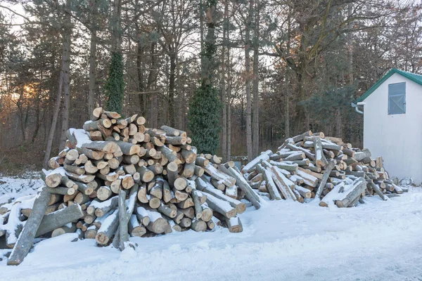 Großer Haufen Brennholz Für Den Winter — Stockfoto