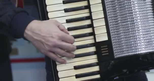 Musician Playing Accordion Instrument Band — Stock Video