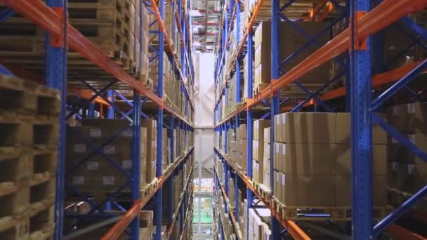Idąc Górę High Rack Storage Aisle Distribution Magazyn — Wideo stockowe