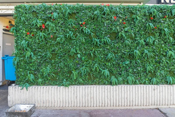 Konstgjorda Blommor Och Gröna Växter Häckvägg — Stockfoto