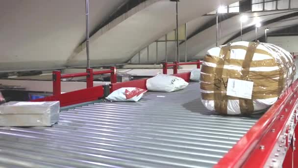 Frakt Leverans Sortering Long Conveyor Distribution Lager — Stockvideo