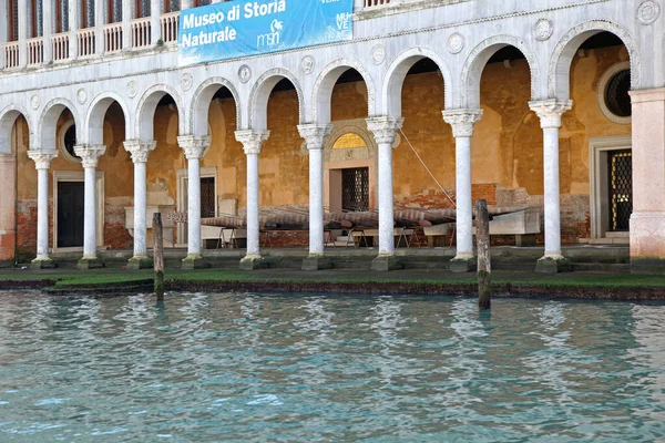 Venice Itália Dezembro 2012 Edifício Museu História Natural Grande Canal — Fotografia de Stock