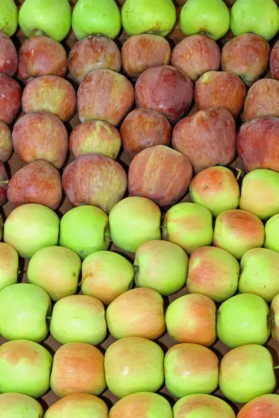 Mercado Frutas Empilhadas Maçãs Verdes Vermelhas — Fotografia de Stock