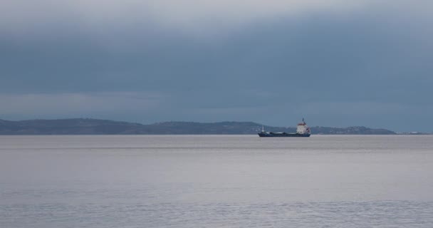 Una Nave Cargo Nel Golfo Trieste Mare Adriatico — Video Stock