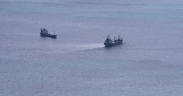 トリエステ湾を通過する2隻の貨物船 アドリア海 — ストック動画