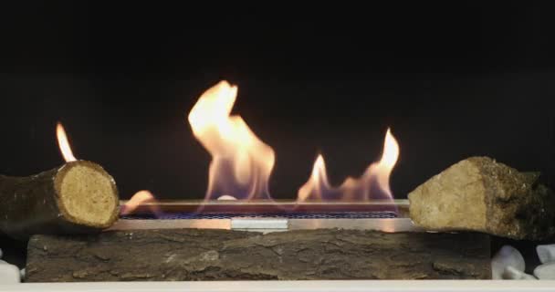 Alkohol Feuer Heizung Holzscheite Effekte Kleiner Kamin — Stockvideo