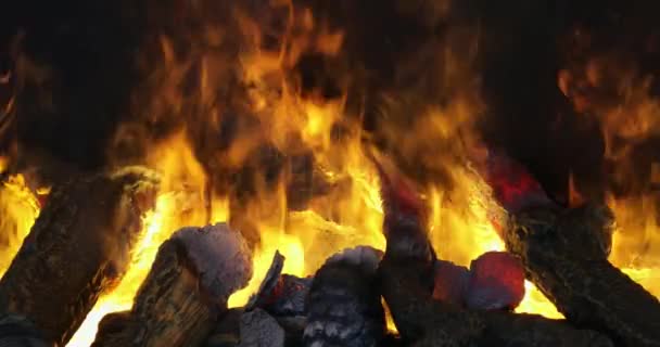 Semineu Efecte Foc Busteni Din Lemn Ceramic Dcor — Videoclip de stoc