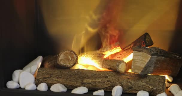 Logs Madeira Cerâmica Lareira Aquecedor Casa — Vídeo de Stock