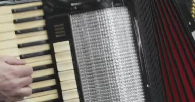 Müzisyen Parti Bandosunda Akordiyon Çalıyor