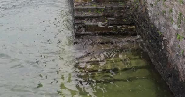 コモ湖水イタリアへの石の階段 — ストック動画