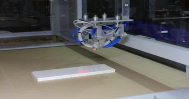 Otomatik Fabrika Üretiminde Ahşap Çalışma Makineleri Ekipmanı