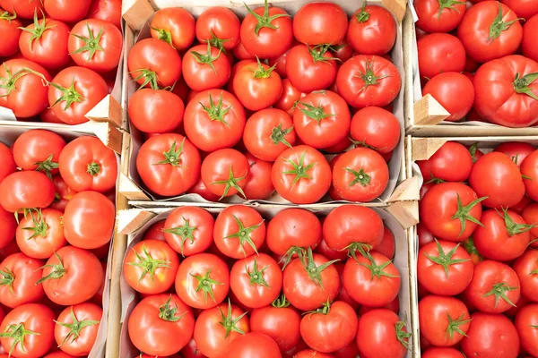 Fresh Ripe Red Tomatoes Crates Top View — Stock Photo, Image