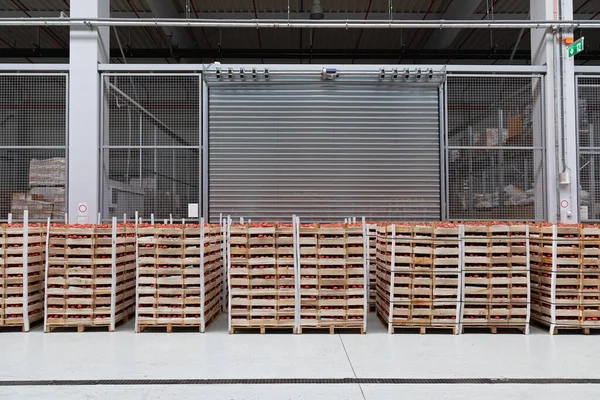 Cassette Pomodoro Pallet Nel Magazzino — Foto Stock