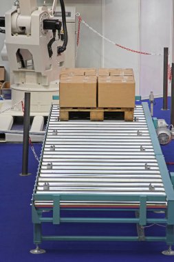 Taşıyıcı Roller Kargo Teslimatında Kutular için Palletizer
