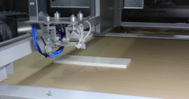 Maszyny Obróbki Drewna Zautomatyzowanej Produkcji Fabrycznej — Wideo stockowe