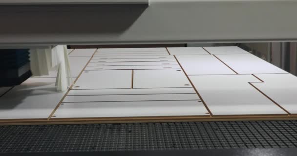 Wood Panel Cutting Machine Cnc Заводі Виробництво — стокове відео