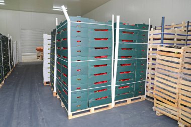 Palet Deposu 'ndaki kasalarda meyve ve sebzeler