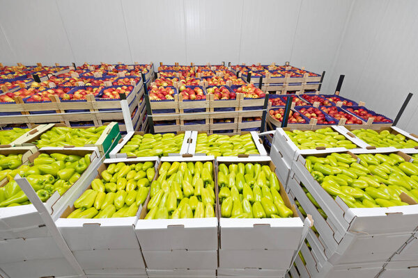 Peppers and Apples in Crates Storage Warehouse