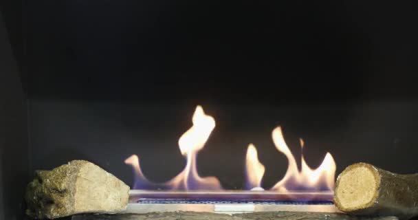 Alcool Chauffe Feu Grumes Bois Effets Cheminée — Video