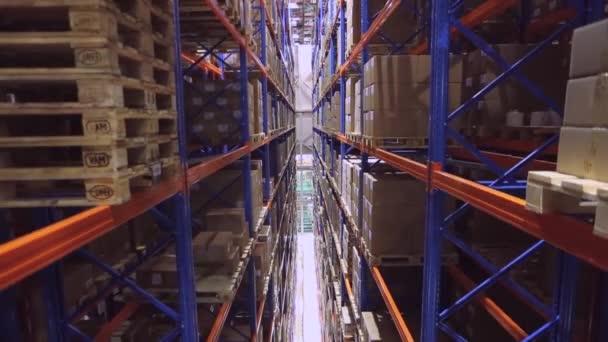 High Rack Storage Aisle Going Distribution Warehouse — Stock video