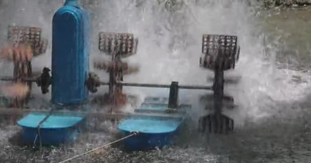 Wasserbelüfter Drehen Rad Fischteich — Stockvideo