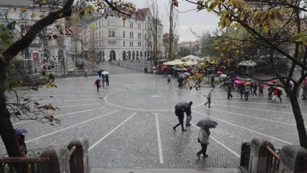 Wiele Osób Kolorowymi Parasolkami Deszczowy Dzień Lublana Słowenia — Wideo stockowe