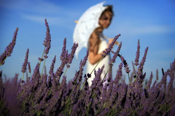 Meisje met paraplu lopen onder lavendel — Stockfoto