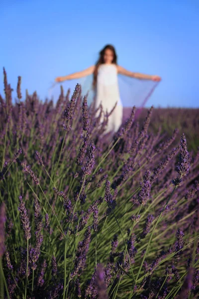 Eine Frau Breitet Ihr Tuch Einem Lavendelfeld Aus — Stockfoto