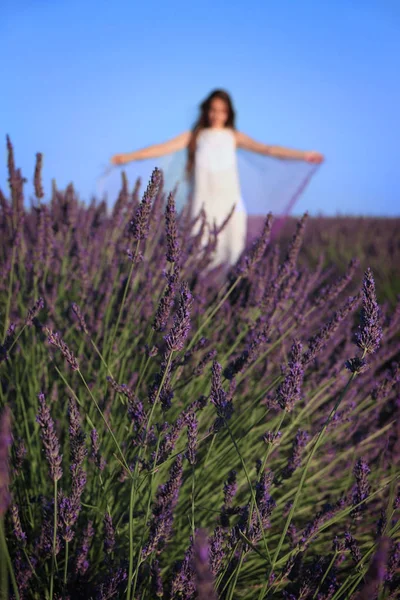 Une Femme Étendant Son Châle Dans Champ Lavande — Photo