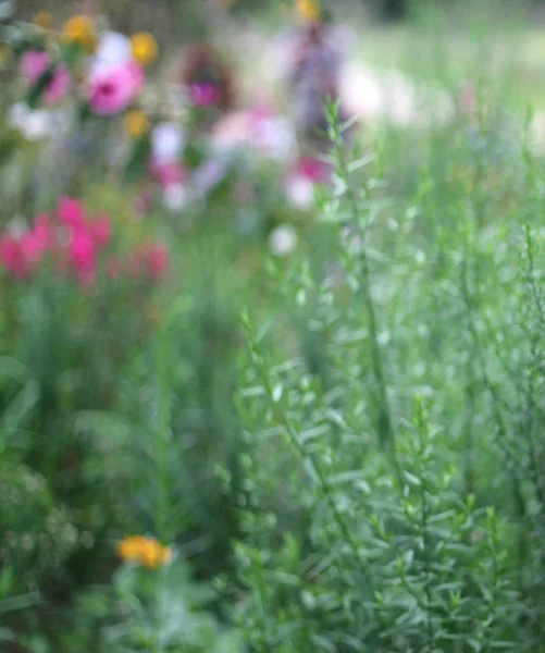 soyut ilkbahar arka plan