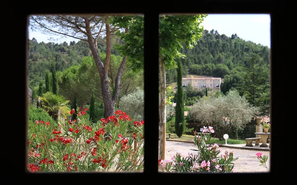 Window View — Stock Photo, Image