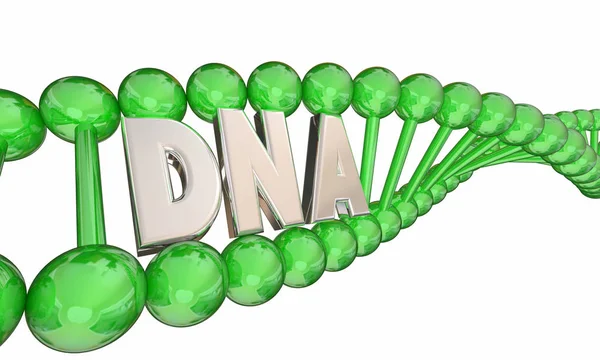 Molekula DNA písmen — Stock fotografie