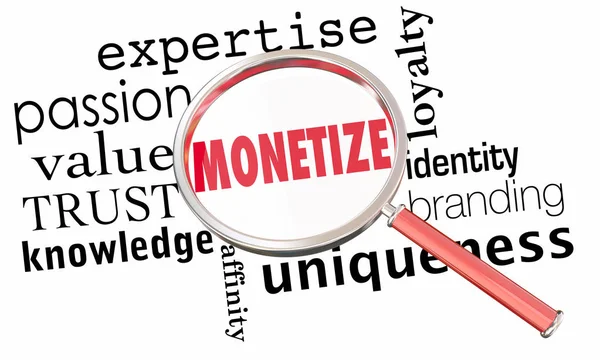 Monetizza lente d'ingrandimento — Foto Stock